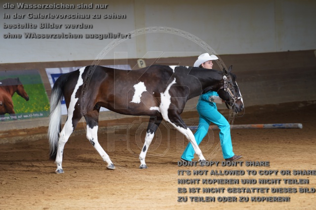 s_A_900335.JPG